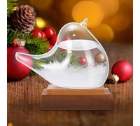 Weather Predicting Storm Glass,Bird Shape Storm Glass Weather Forecast Bottle Weather Station with Wooden Base,Weather Stations for Home Office Accessories Valentine's Day Gift for Men-Small