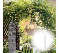 Weather-Resint Garden Arch for Climbing Plants - Half-Round Rose Arbor, Easy Assembly, Perfect for Weddings & Birthdays, White, 270cm x 240cm (8.9ft x 7.9ft)