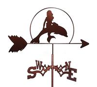Weather Vane with Roof Mount AnimalsWind Direction Indicator Kit Creative Bald Eagle Gardening Decoration for The Roof Yard Garden Patio Yard Ornament