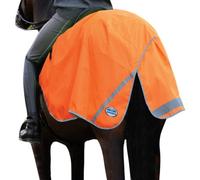 Weatherbeeta 300D Reflective Exercise Sheet Orange (Xs)