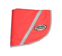 WeatherBeeta 300D Reflective Exercise Sheet, Pink, Medium