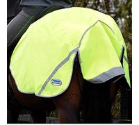 WeatherBeeta 300D Reflective Exercise Sheet, Yellow, Medium