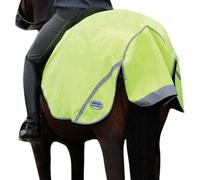 Weatherbeeta 300D Reflective Exercise Sheet Yellow (Xs)