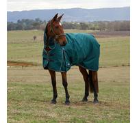 Weatherbeeta Comfitec Classic 220g Combo Turnout Rug - Outdoor Horse Blanket - Forest - Size: 5ft 9inch