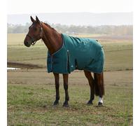 Weatherbeeta Comfitec Classic 220g Standard Turnout Rug - Outdoor Horse Blanket - Forest - Size: 7ft