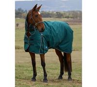 Weatherbeeta Comfitec Classic Turnout Combo 220g 2025 Collection - Green/Black 5'0