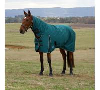 Weatherbeeta Comfitec Classic 360g Combo Turnout Rug - Outdoor Horse Blanket - Forest - Size: 5ft 9inch