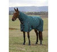 WeatherBeeta ComFiTec Classic 50g Turnout Rug - Forest Green/Black