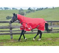 Weatherbeeta Comfitec Classic Combo Neck Turnout Medium