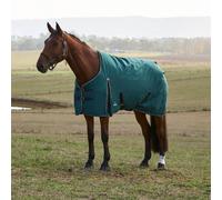 Weatherbeeta Comfitec Classic Turnout 220g - 5'6/120cm · Forest Green/Black