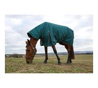 Weatherbeeta Comfitec Classic Turnout Combo 360g 2025 Collection - Forest Green/black 5'3/115cm