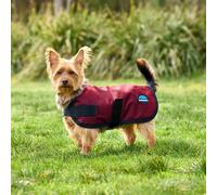 WeatherBeeta ComFiTec Classic Waterproof Dog Coat, Navy, 55cm