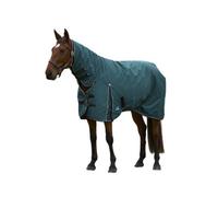 Weatherbeeta Comfitec Clic 50G Standard-Neck Horse Turnout Rug Forest Green/black (7)