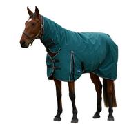 Weatherbeeta Comfitec Clic Combo Neck 220G Horse Turnout Rug Forest Green/black (5 6")