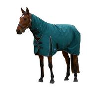 Weatherbeeta Comfitec Clic Combo Neck 220G Horse Turnout Rug Forest Green/black (6)