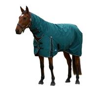 Weatherbeeta Comfitec Clic Combo Neck 360G Horse Turnout Rug Forest Green/black (7)