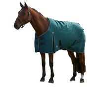 Weatherbeeta Comfitec Clic Combo Neck 50G Horse Turnout Rug Forest Green/black (5)