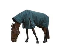 Weatherbeeta Comfitec Clic Combo Neck 50G Horse Turnout Rug Forest Green/black (6 9")