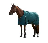 Weatherbeeta Comfitec Clic Standard-Neck 220G Horse Turnout Rug Forest Green/black (5 9")