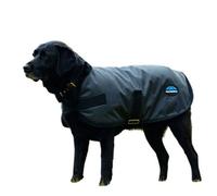 Weatherbeeta Comfitec Clic Waterproof Dog Coat Charcoal (35Cm)
