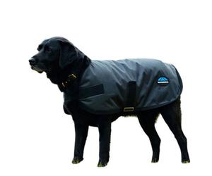 Weatherbeeta Comfitec Clic Waterproof Dog Coat Charcoal (35Cm)