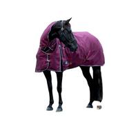 Weatherbeeta Comfitec Essential Combo Neck 360G Horse Turnout Rug Burgundy/navy (5 6")