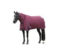 Weatherbeeta Comfitec Essential Combo Neck 360G Horse Turnout Rug Burgundy/navy (7 3")