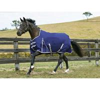 Weatherbeeta Comfitec Essential 0g Standard Turnout Rug - 4'3 · Navy Silver and Red