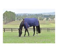 Weatherbeeta Comfitec Essential Turnout 50g - Navy 6'3/140cm