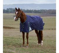 Weatherbeeta Comfitec Plus Dynamic 100g Standard Turnout Rug - Outdoor Horse Blanket - Navy - Size: 7ft