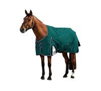 Weatherbeeta Comfitec Plus Dynamic Standard-Neck Logo Horse Turnout Rug Forest Green/navy (7)