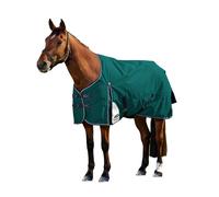 Weatherbeeta Comfitec Plus Dynamic Turnout 0g 2025 Collection - Forest Green 7'0/160cm