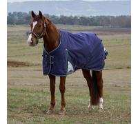 Weatherbeeta Comfitec Plus Dynamic Turnout 0g - 5'6/120cm · Forest Green/Navy