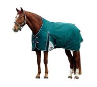 WeatherBeeta ComFiTec Plus Dynamic Turnout 100G, Forest Green/Navy, 6'6