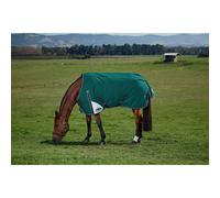Weatherbeeta Comfitec Plus Dynamic Turnout 220g 2025 Collection - Forest Green 7'0/160cm