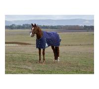 Weatherbeeta Comfitec Plus Dynamic Turnout Detach-a-neck 100g 2025 Collection - Navy 7'0/160cm