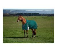 Weatherbeeta Comfitec Plus Dynamic Turnout Detach-a-neck 220g - Forest Green 6'3/140cm