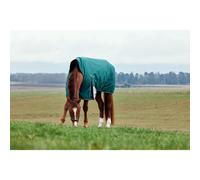 WeatherBeeta ComFiTec Plus Dynamic Turnout High Neck 100g, Forest Green/Navy, 6'6