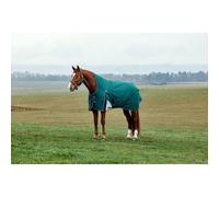 Weatherbeeta Comfitec Plus Dynamic Turnout High Neck 220g - Forest Green 6'0/135cm
