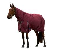 Weatherbeeta Comfitec Prelim Combo Neck Horse Turnout Rug WB2393