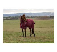 Weatherbeeta Comfitec Prelim Turnout 220g - Burgundy/navy 6'6/150cm