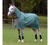 Weatherbeeta Comfitec Tyro Combo Neck Medium Turnout Rug - Green - Size: 4ft
