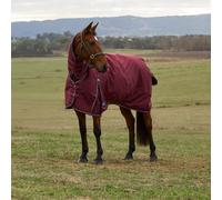 Weatherbeeta Comfitec Prelim Turnout Combo 220g 2025 Collection - Burgundy/navy 5'0/105cm