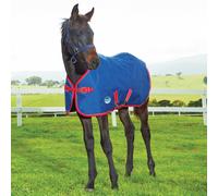 Weatherbeeta Original Foal 220g Standard Turnout Rug - Outdoor Mediumweight Horse Blanket - Navy - Size: 3ft 3inch