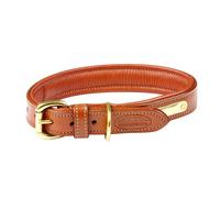Weatherbeeta Padded Leather Dog Collar WB1258