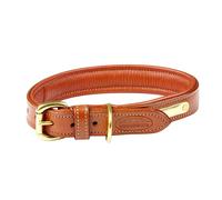 Weatherbeeta Padded Leather Dog Collar WB1258