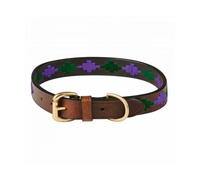 WeatherBeeta Polo Dog Collar - Beaufort Brown/Purple/Teal - Medium