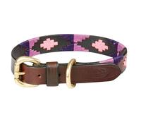 WeatherBeeta Polo Leather Dog Collar, Cowdray Brown/Purple/Purple, Extra Small