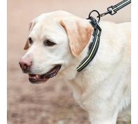 WeatherBeeta Reflective Dog Collar Black/Yellow - Extra Small