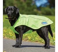 Weatherbeeta Reflective Exercise Dog Coat - Yellow - Size: Dog 65cm - Dog Jackets